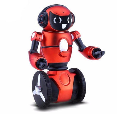 Smart Balancing Robot
